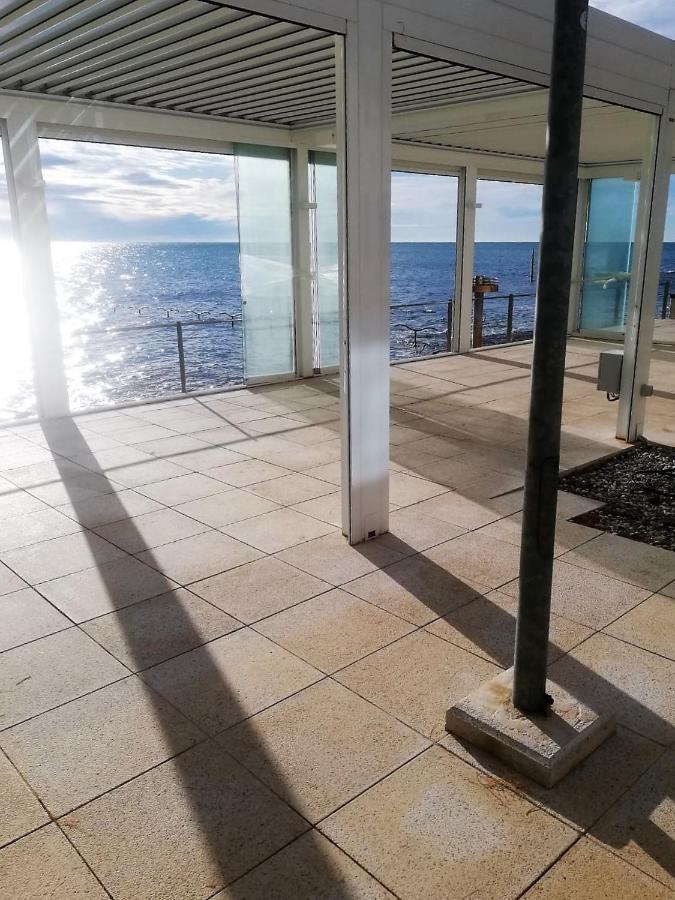 Vidal Novigrad Istria