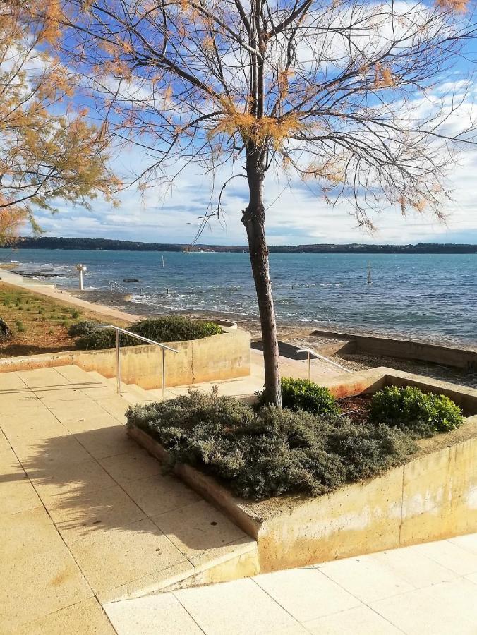 Apartmán Vidal Novigrad Istria
