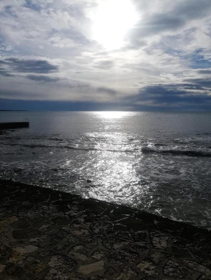 Vidal * Novigrad Istria